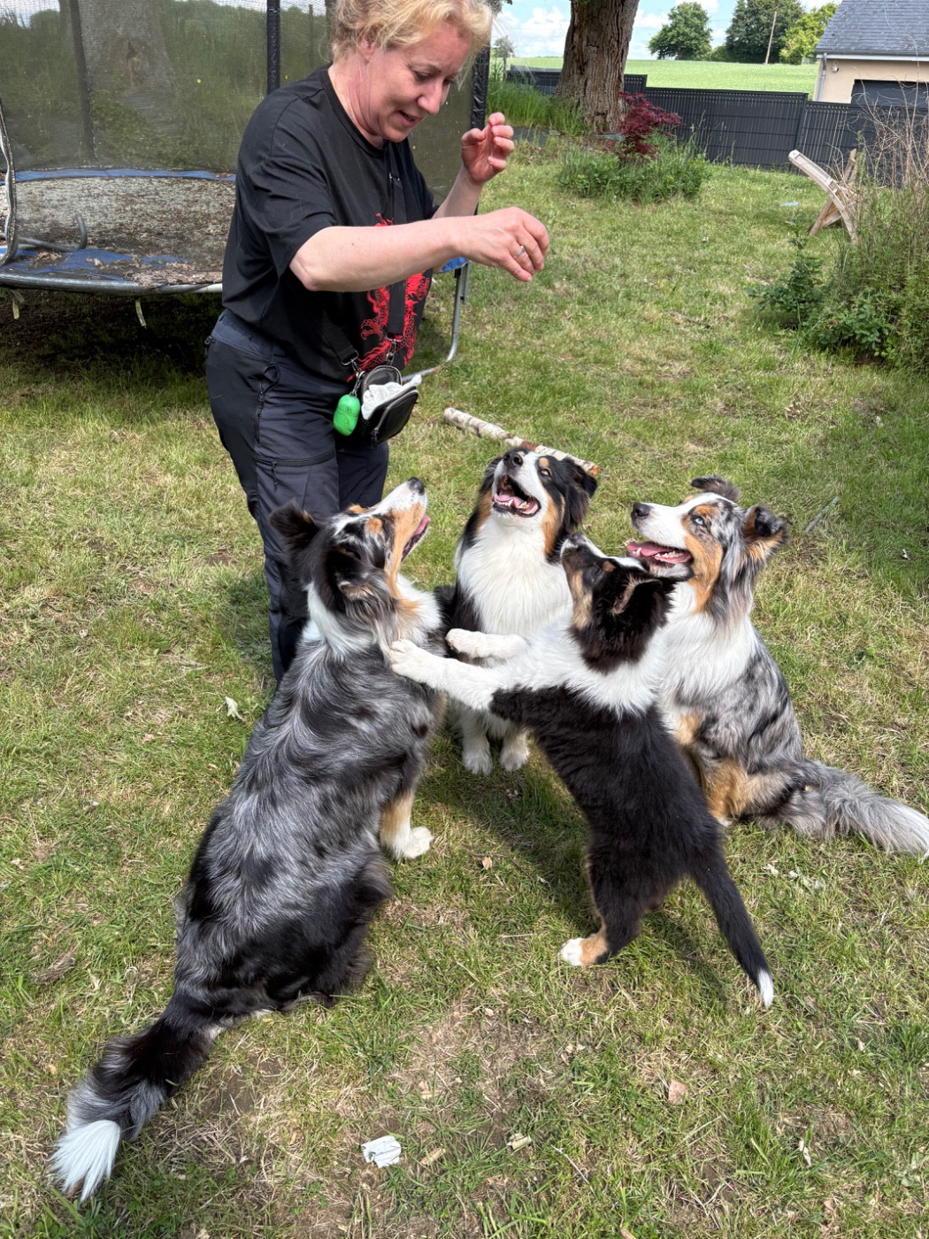 Le livre des chiots d Over se referme