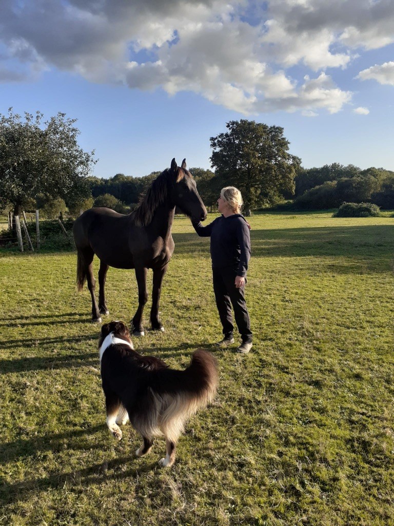 Et avec mes chevaux